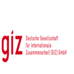 giz-standard-logo-500x260